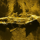 Illustration for article titled 19th Century Shipwreck Discovered by Australians Still Looking for MH370